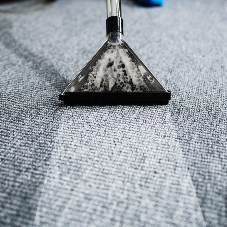 Carpet Cleaning and Restoration in Hurst, TX Carpet Cleaning and Restoration in Hurst, TX