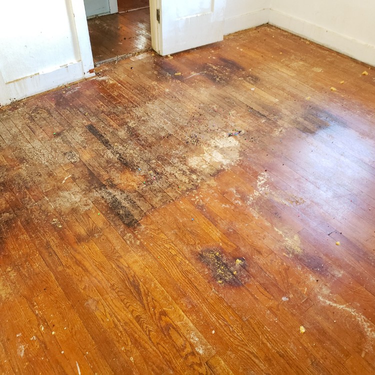 Carpet Cleaning and Restoration in Hurst, TX Carpet Cleaning and Restoration in Hurst, TX
