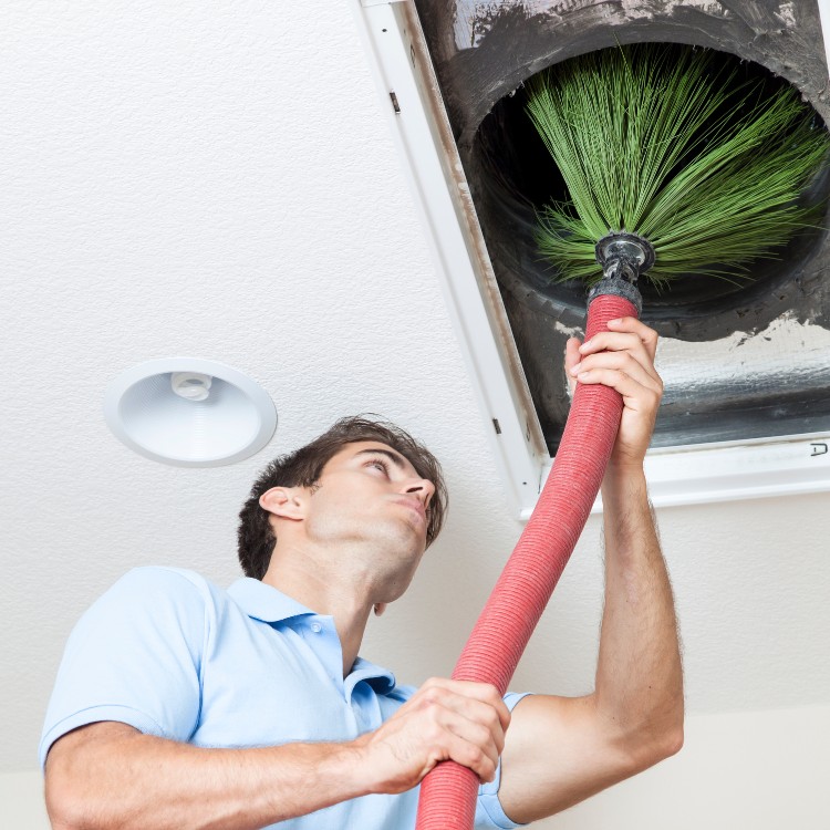 Carpet Cleaning and Restoration in Hurst, TX Carpet Cleaning and Restoration in Hurst, TX