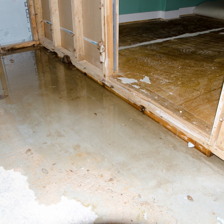 Carpet Cleaning and Restoration in Hurst, TX Carpet Cleaning and Restoration in Hurst, TX